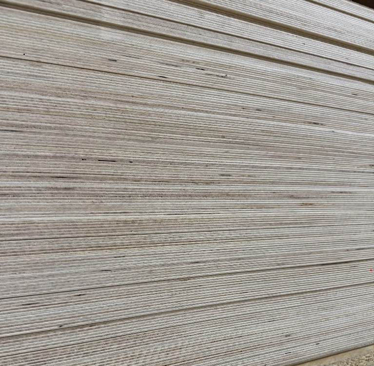 Baltic birch Russian birch plywood edge showing void-free multi-ply construction at International Plywood Miami
